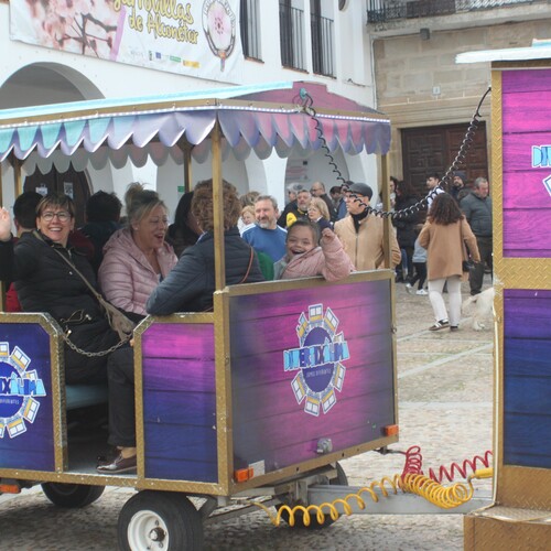 feria almendro en flor 2025 (62)